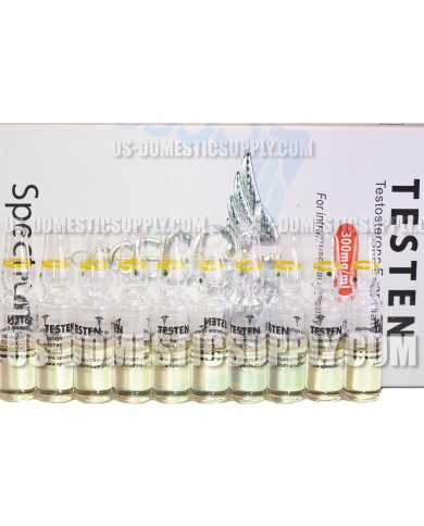 Testen (Testosterone Enanthate) 300mg/1ml 10amps Spectrum Pharma Testen (Testosterone Enanthate) 300mg/1ml 10amps Spectrum Pharma