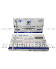 Testosterone Enanthate 250mg/1ml 10amps, ZPHC Testosterone Enanthate 250mg/1ml 10amps, ZPHC